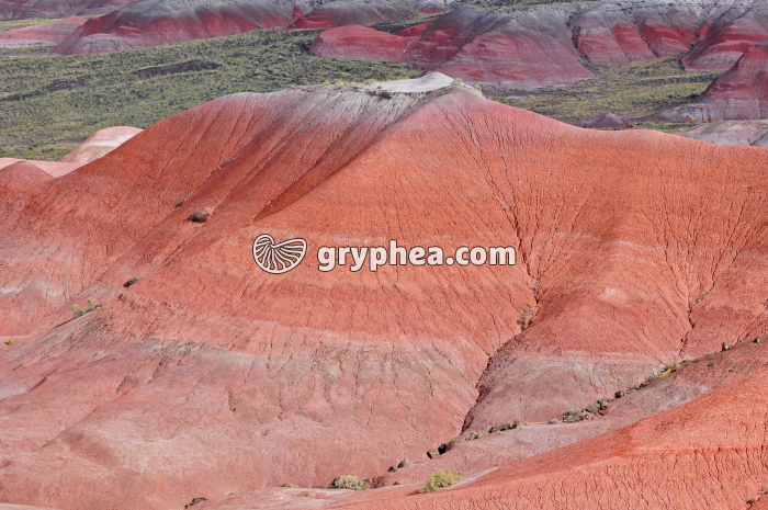 Erosion en terrain argileux - gryphea.org